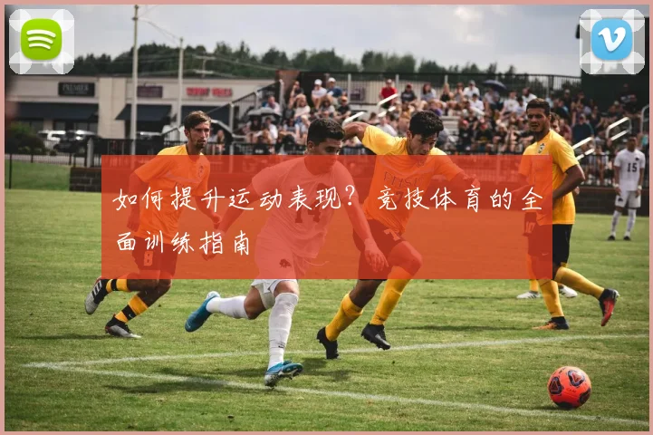 如何提升运动表现?竞技体育的全面训练指南