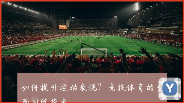 如何提升运动表现？竞技体育的全面训练指南